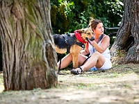 Adoptuj Warszawiaka  Wydarzenie promujące adopcję zwierząt. Organizator: Schronisko dla Bezdomnych Zwierząt "Na Paluchu". 18 sierpnia 2019, Park Raszyński w Raszynie. : park raszyński, adoptuj warszawiaka, na paluchu, schronisko dla zwierząt, centrum warszawy, raszyn